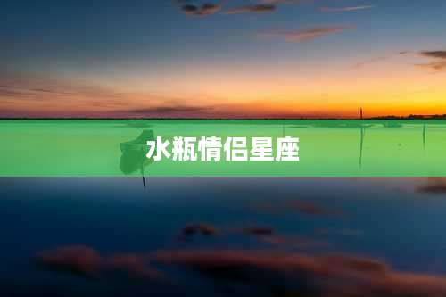 水瓶情侣星座