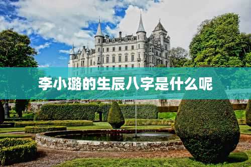 李小璐的生辰八字是什么呢