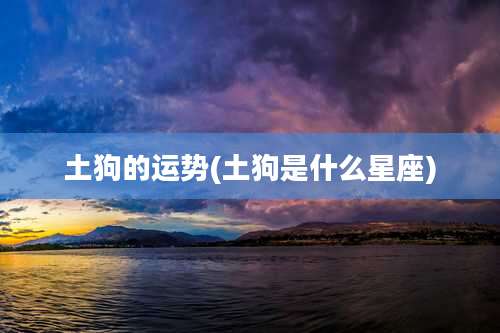 土狗的运势(土狗是什么星座)