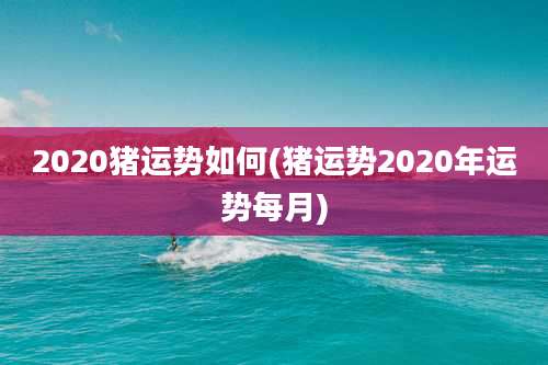 2020猪运势如何(猪运势2020年运势每月)