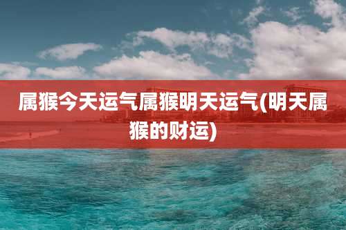 属猴今天运气属猴明天运气(明天属猴的财运)