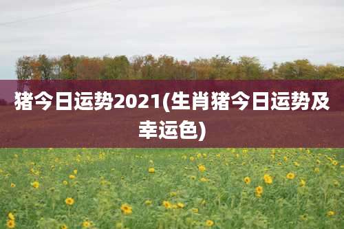 猪今日运势2021(生肖猪今日运势及幸运色)
