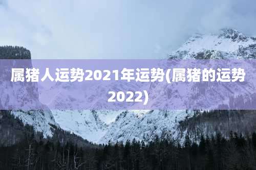 属猪人运势2021年运势(属猪的运势2022)