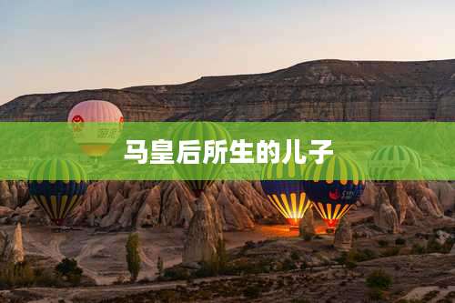 马皇后所生的儿子