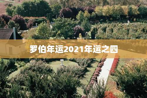 罗伯年运2021年运之四