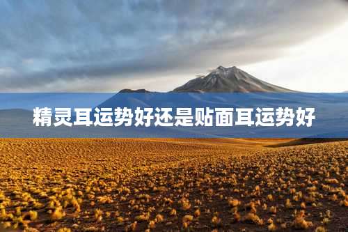 精灵耳运势好还是贴面耳运势好