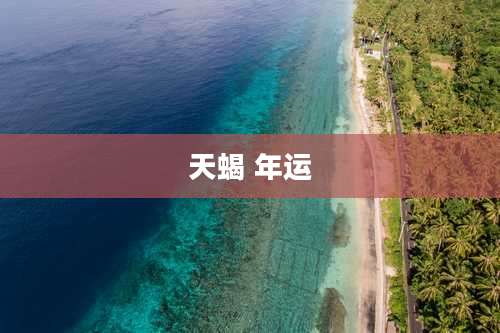 天蝎 年运