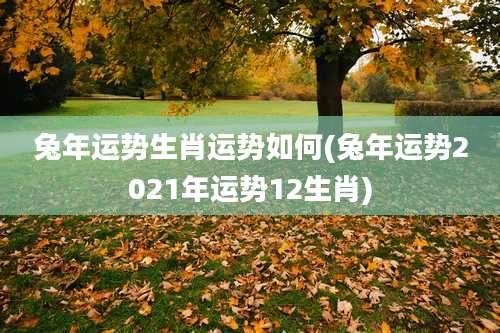 兔年运势生肖运势如何(兔年运势2021年运势12生肖)