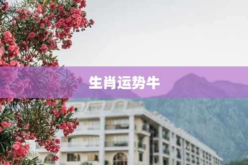 生肖运势牛