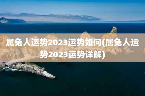 属兔人运势2023运势如何(属兔人运势2023运势详解)