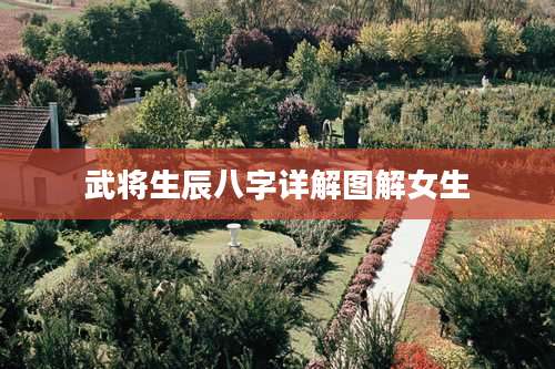 武将生辰八字详解图解女生