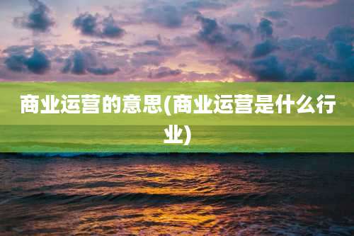 商业运营的意思(商业运营是什么行业)