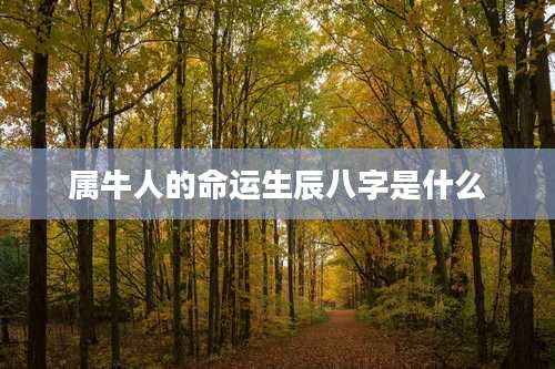 属牛人的命运生辰八字是什么