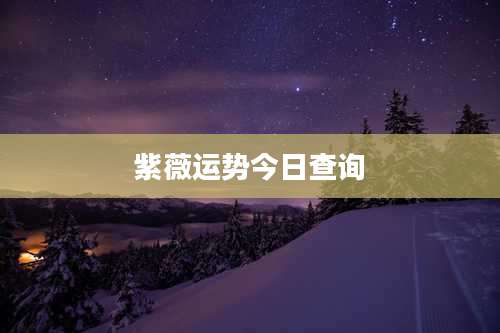 紫薇运势今日查询