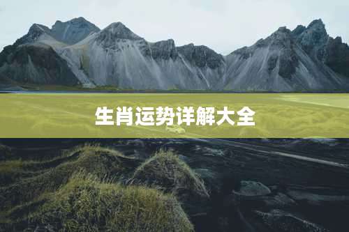 生肖运势详解大全