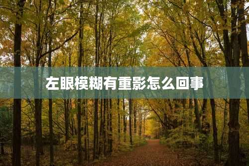 左眼模糊有重影怎么回事