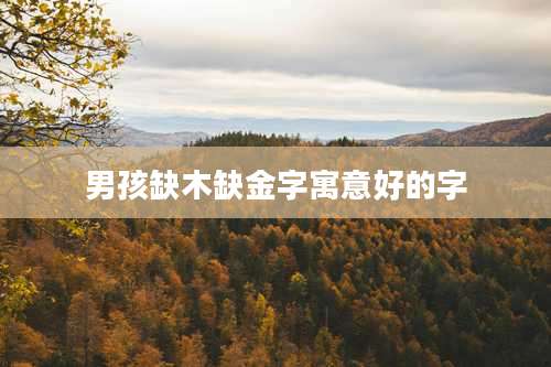 男孩缺木缺金字寓意好的字