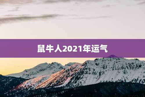 鼠牛人2021年运气