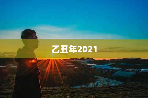 乙丑年2021