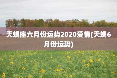 天蝎座六月份运势2020爱情(天蝎6月份运势)