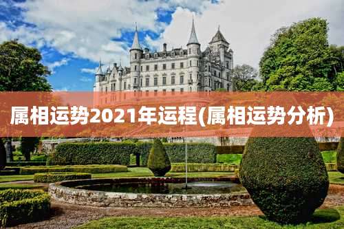 属相运势2021年运程(属相运势分析)