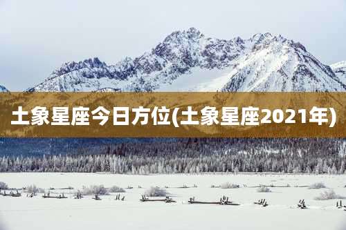 土象星座今日方位(土象星座2021年)