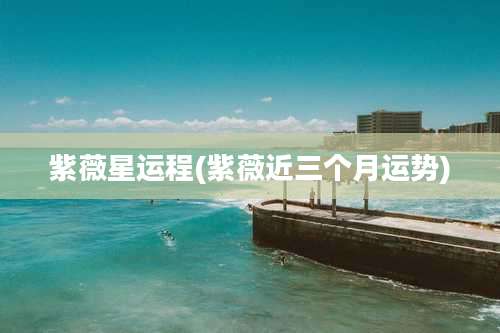 紫薇星运程(紫薇近三个月运势)