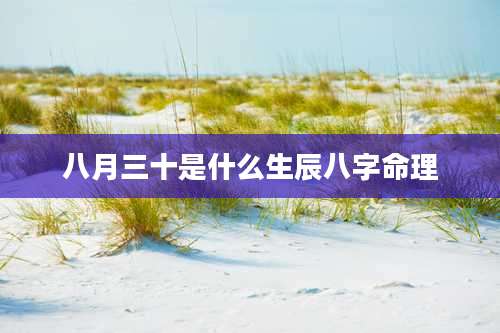 八月三十是什么生辰八字命理