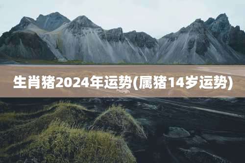 生肖猪2024年运势(属猪14岁运势)