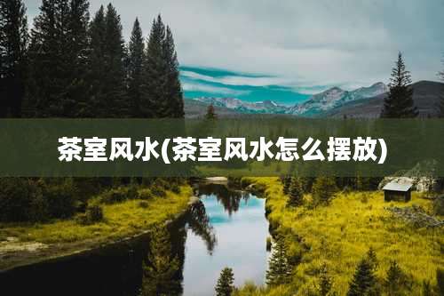 茶室风水(茶室风水怎么摆放)