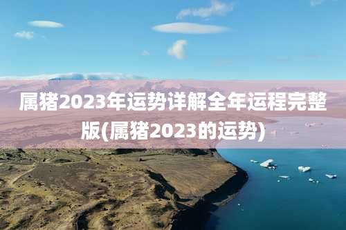 属猪2023年运势详解全年运程完整版(属猪2023的运势)