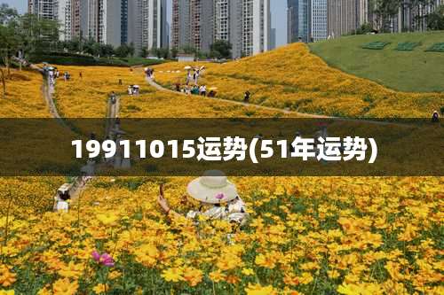 19911015运势(51年运势)