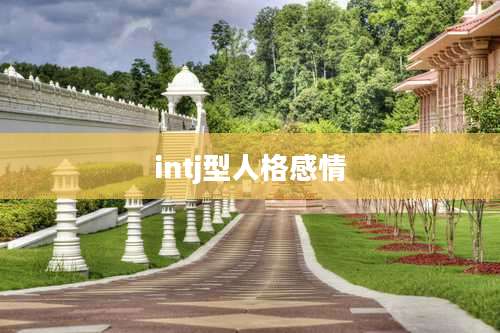 intj型人格感情