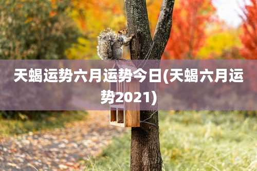 天蝎运势六月运势今日(天蝎六月运势2021)