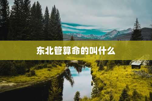 东北管算命的叫什么
