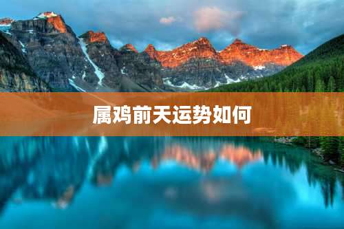 属鸡前天运势如何