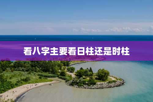 看八字主要看日柱还是时柱