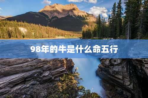 98年的牛是什么命五行