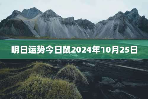 明日运势今日鼠2024年10月25日