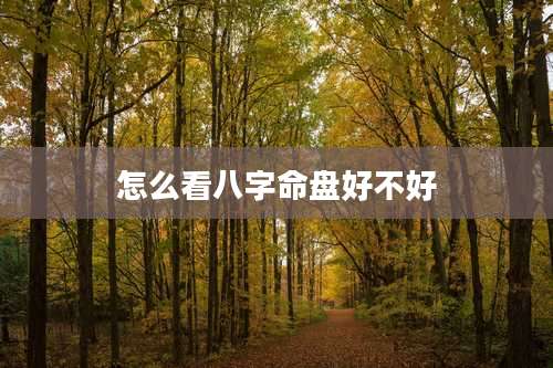 怎么看八字命盘好不好
