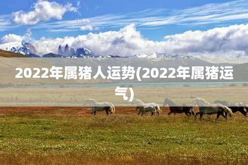 2022年属猪人运势(2022年属猪运气)
