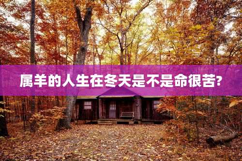 属羊的人生在冬天是不是命很苦?