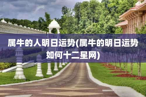 属牛的人明日运势(属牛的明日运势如何十二星网)