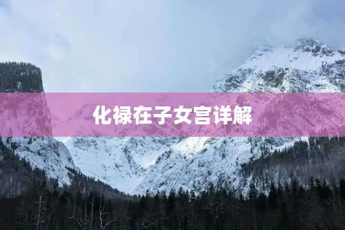 化禄在子女宫详解