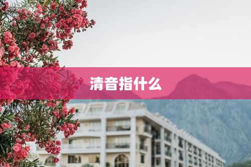 清音指什么