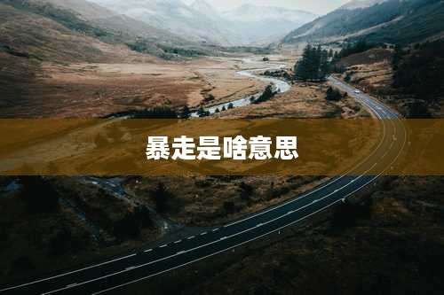 暴走是啥意思