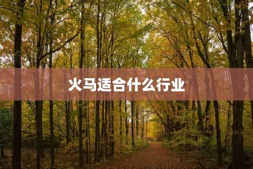 火马适合什么行业