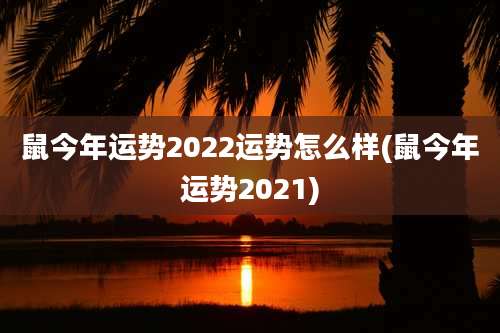 鼠今年运势2022运势怎么样(鼠今年运势2021)