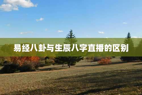 易经八卦与生辰八字直播的区别
