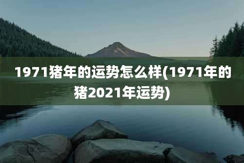 1971猪年的运势怎么样(1971年的猪2021年运势)